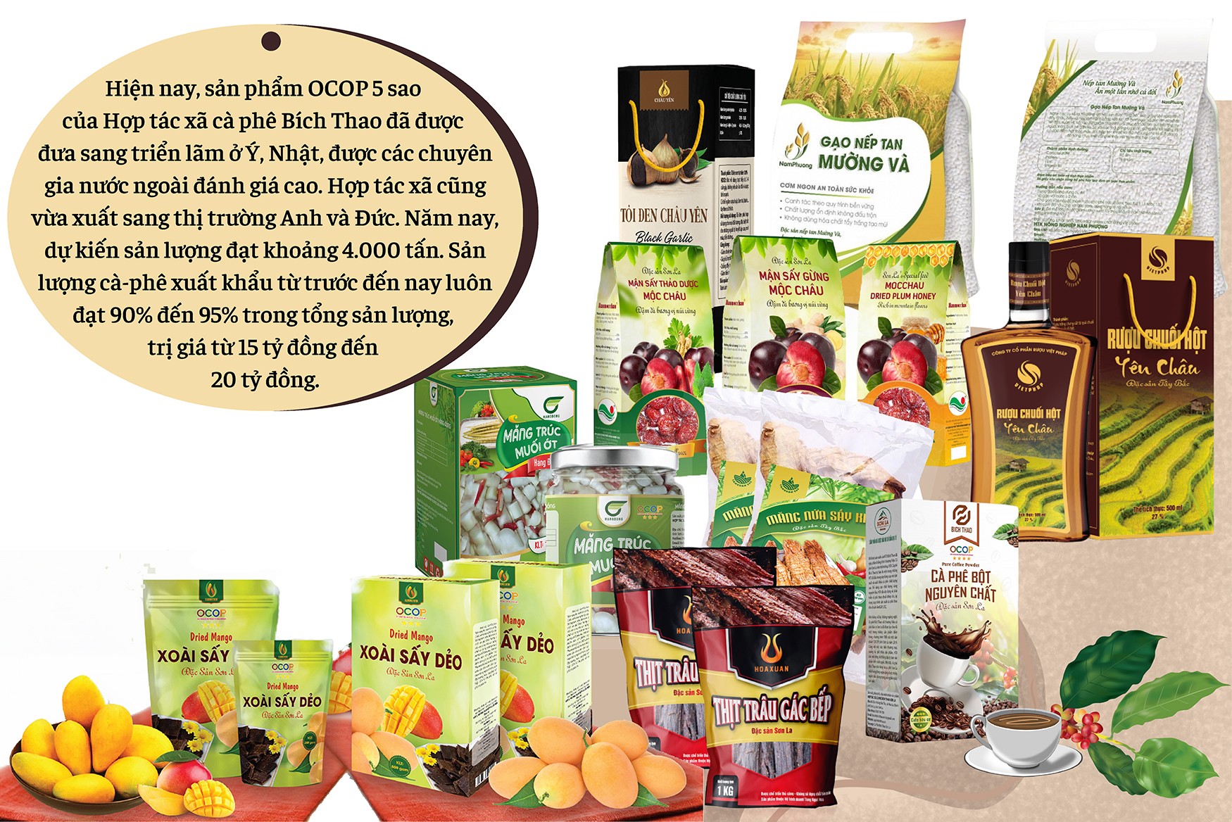 Longform | Sản phẩm OCOP Sơn La: Vươn ra thế giới Longform | Sản phẩm OCOP Sơn La: Vươn ra thế giới