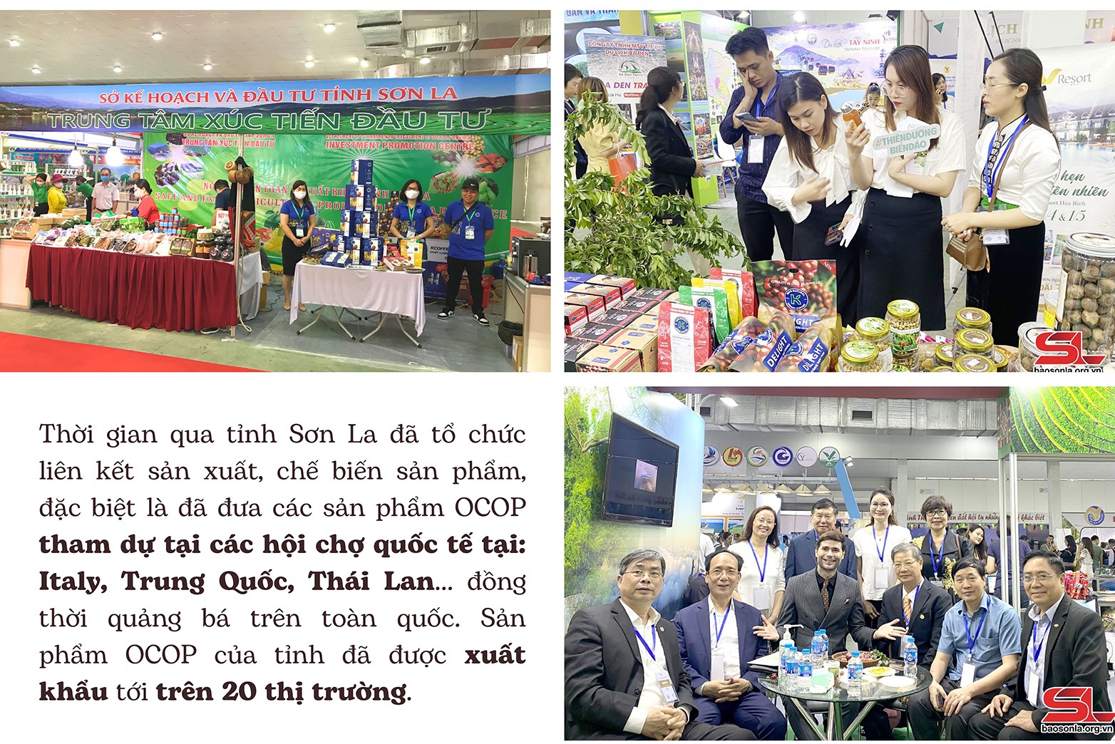 Longform | Sản phẩm OCOP Sơn La: Vươn ra thế giới Longform | Sản phẩm OCOP Sơn La: Vươn ra thế giới