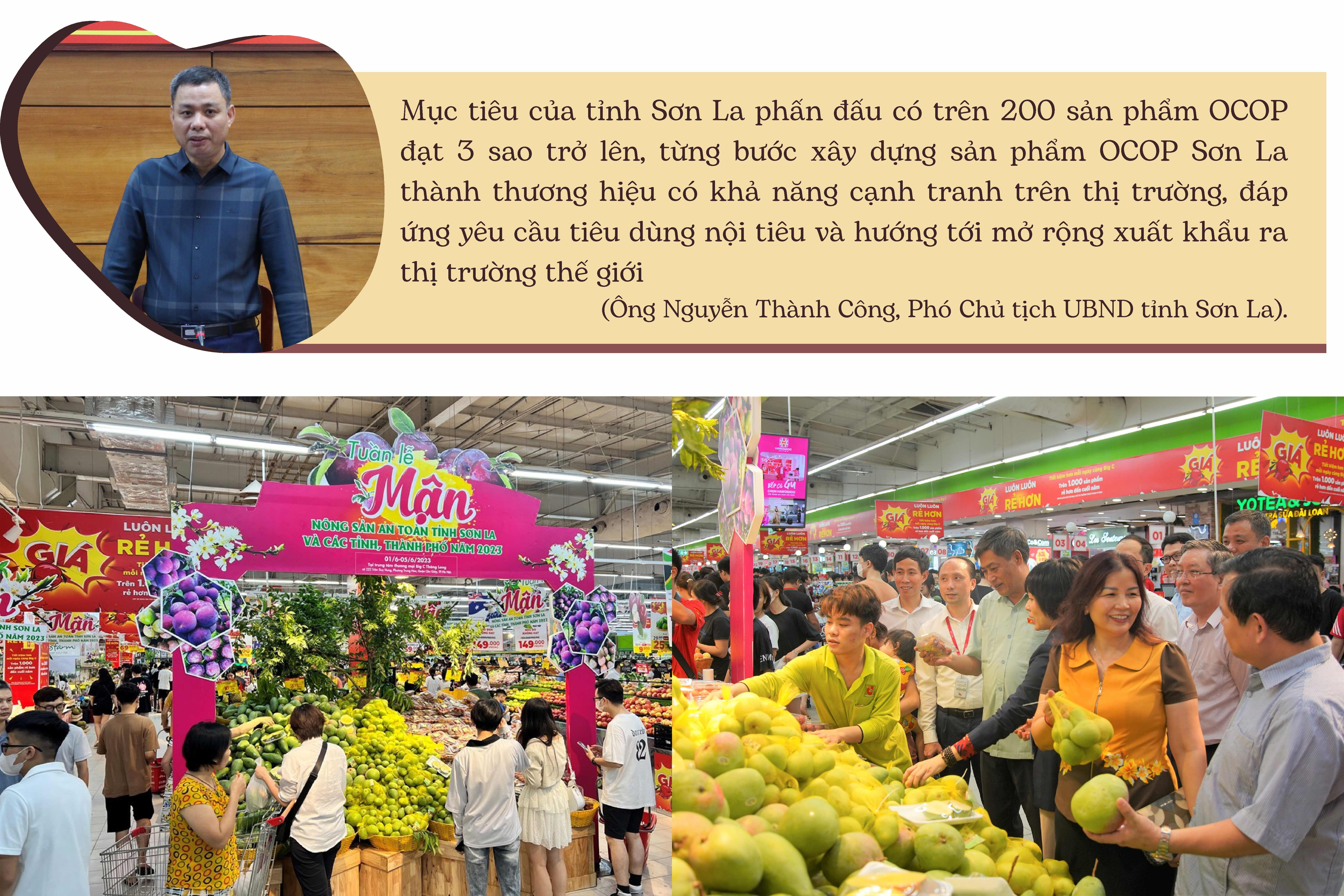 Longform | Sản phẩm OCOP Sơn La: Vươn ra thế giới Longform | Sản phẩm OCOP Sơn La: Vươn ra thế giới