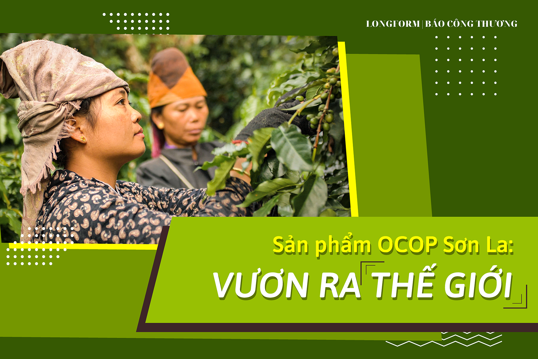 Longform | Sản phẩm OCOP Sơn La: Vươn ra thế giới Longform | Sản phẩm OCOP Sơn La: Vươn ra thế giới