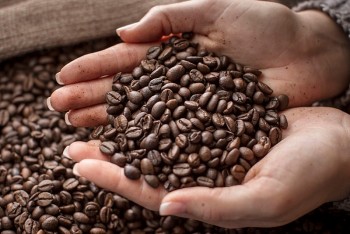 Giá cà phê hôm nay, 2/7/2023: Giá cà phê trong nước giảm tới 900 đồng/kg