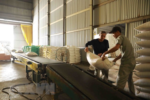 Viet Nam tiep tuc la nha cung cap gao hang dau cua Philippines hinh anh 1