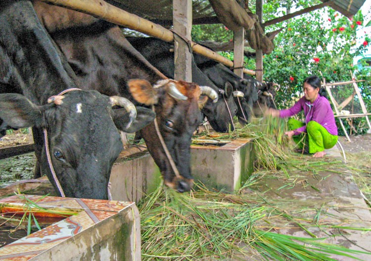 Sơ kết 3 năm thực hiện Chương trình MTTQ phát triển vùng đồng bào DTTS và miền núi phía Nam Sơ kết 3 năm thực hiện Chương trình MTTQ phát triển vùng đồng bào DTTS và miền núi phía Nam