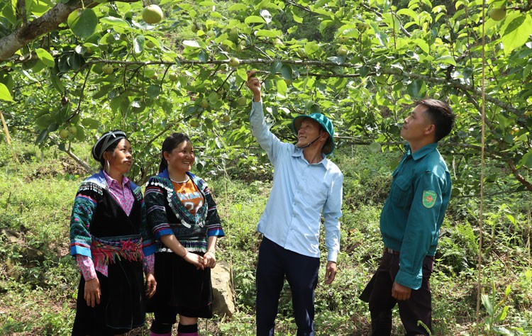 “Sức bật” Bản Giàng “Sức bật” Bản Giàng