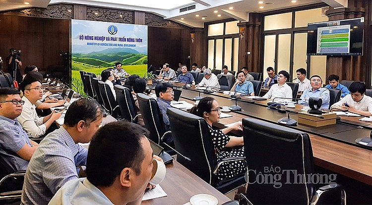 Toàn cảnh cuộc họp Toàn cảnh cuộc họp