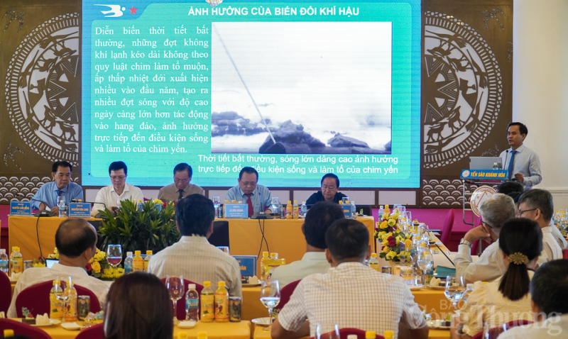 Xuất khẩu tổ yến sào thu về hàng trăm triệu USD một năm