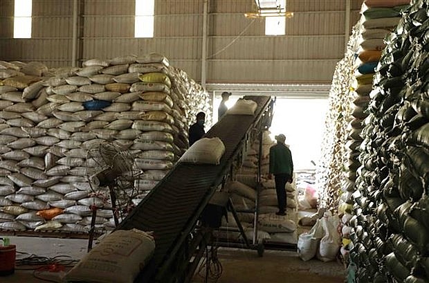 Ngành hàng lúa gạo cần thêm trợ lực để chuyển từ "lượng" sang "chất" Ngành hàng lúa gạo cần thêm trợ lực để chuyển từ "lượng" sang "chất"