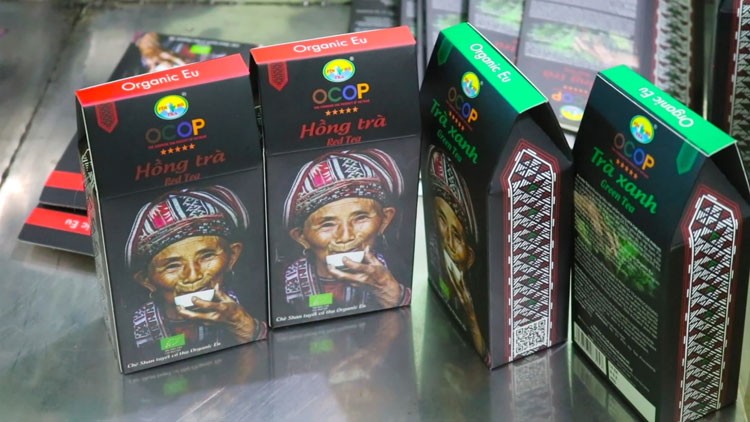 Hà Giang: Đẩy mạnh phát triển các sản phẩm OCOP chủ lực theo hướng hàng hóa Hà Giang: Đẩy mạnh phát triển các sản phẩm OCOP chủ lực theo hướng hàng hóa