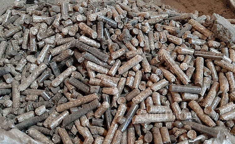 Viên nén gỗ (ảnh Nguyễn Hạnh) Viên nén gỗ (ảnh Nguyễn Hạnh)