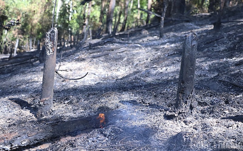 Sáng 13/7, một số khu vực vẫn còn cháy âm ỉ, nguy cơ cháy trở lại cao Sáng 13/7, một số khu vực vẫn còn cháy âm ỉ, nguy cơ cháy trở lại cao