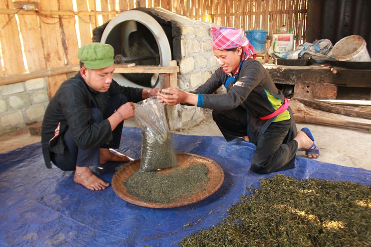 Điểm tựa giúp nông dân vùng cao Bản Liền giảm nghèo bền vững