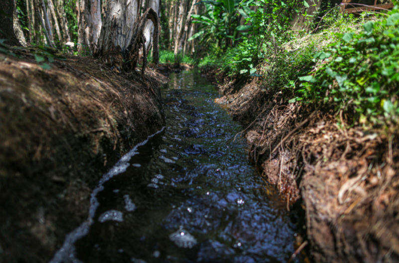 Cần sớm xử lý triệt để nghịch lý ô nhiễm môi trường từ nhà máy xử lý rác ở Củ Chi