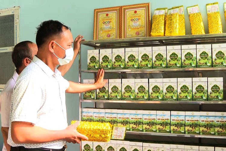 Huyện Vị Xuyên (Hà Giang) tập trung phát triển sản phẩm OCOP theo hướng hàng hóa