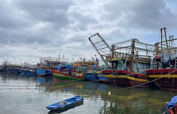 Thu tuong chi dao tap trung ung pho voi con bao dau tien cua nam 2023 hinh anh 1