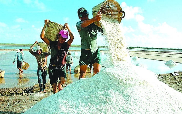 Nâng tầm ngành muối thành mặt hàng chủ lực, phải nỗ lực để diện tích muối và sản lượng muối không bị tụt giảm hàng năm như hiện nay. Ảnh minh họa: ST Nâng tầm ngành muối thành mặt hàng chủ lực, phải nỗ lực để diện tích muối và sản lượng muối không bị tụt giảm hàng năm như hiện nay. Ảnh minh họa: ST
