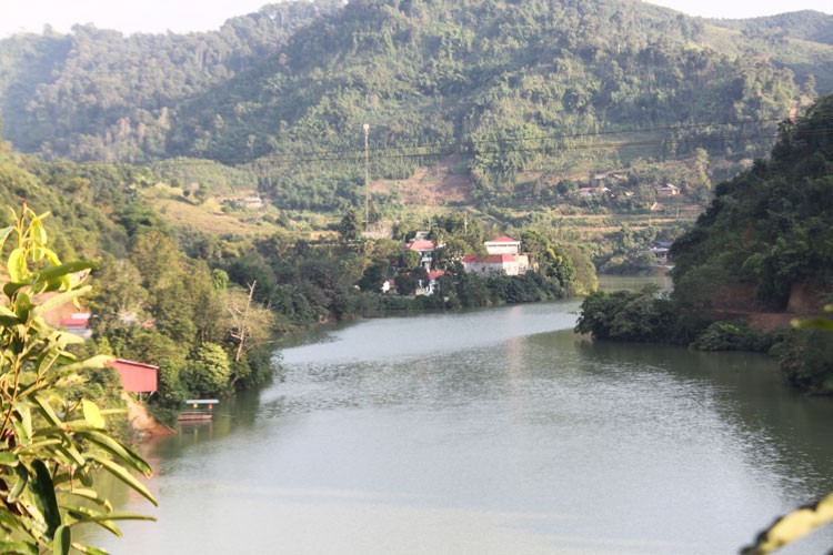 Lào Cai- Gương sáng gia đình người Mông trở thành triệu phú từ trồng quế Lào Cai- Gương sáng gia đình người Mông trở thành triệu phú từ trồng quế