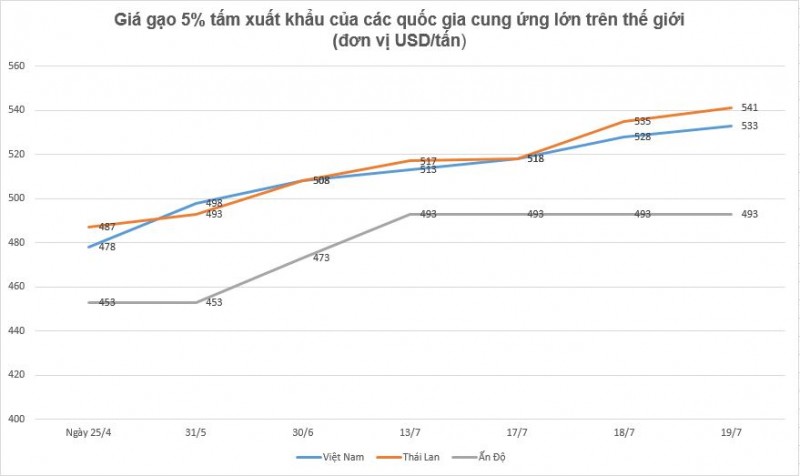 Ấn Độ cấm xuất khẩu gạo, giá gạo Việt sẽ còn tăng cao Ấn Độ cấm xuất khẩu gạo, giá gạo Việt sẽ còn tăng cao
