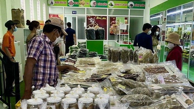 Huyện An Lão (Bình Định): Nhiều giải pháp hỗ trợ đồng bào dân tộc thiểu số phát triển sản xuất Huyện An Lão (Bình Định): Nhiều giải pháp hỗ trợ đồng bào dân tộc thiểu số phát triển sản xuất