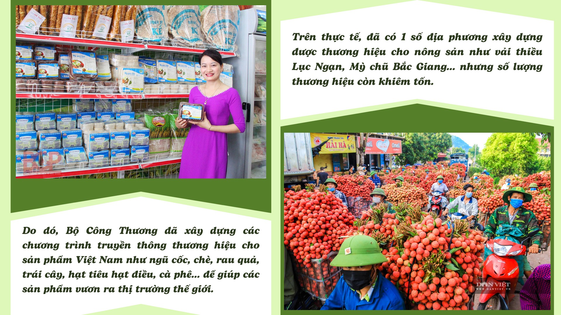 Longform | Chung tay xuất khẩu nông sản miền núi, đồng bào dân tộc Longform | Chung tay xuất khẩu nông sản miền núi, đồng bào dân tộc