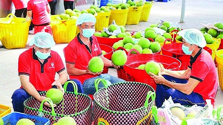 Các hoạt động xúc tiến thương mại đang được được mạnh để mở rộng thị trường cho hàng hóa Việt. 	Ảnh: ST Các hoạt động xúc tiến thương mại đang được được mạnh để mở rộng thị trường cho hàng hóa Việt. 	Ảnh: ST