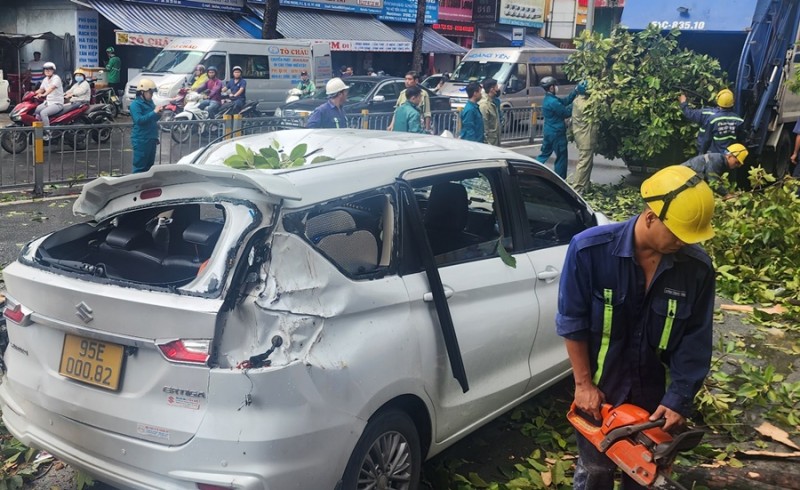Cận cảnh ngọn cây rơi đè xe máy, ô tô sau cơn mưa lớn tại TP. Hồ Chí Minh Cận cảnh ngọn cây rơi đè xe máy, ô tô sau cơn mưa lớn tại TP. Hồ Chí Minh
