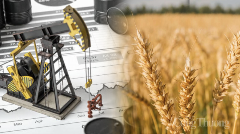 Thị trường hàng hoá hôm nay ngày 25/7/2023: Giá dầu WTI tăng lên mức 78,74 USD/thùng Thị trường hàng hoá hôm nay ngày 25/7/2023: Giá dầu WTI tăng lên mức 78,74 USD/thùng