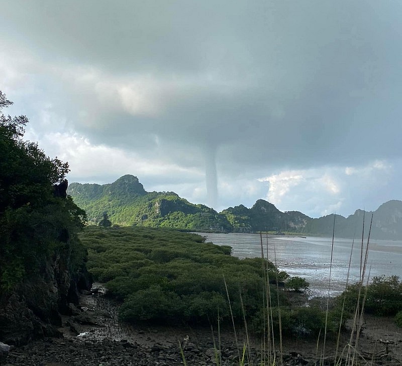 Vòi rồng xuất hiện ở khu vực biển địa phận xã Xuân Đám - Beat Hải Phòng