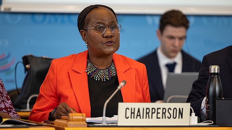 WTO rà soát lộ trình 7 bước cho Hội nghị Bộ trưởng MC13 về cải cách thể chế tổ chức WTO rà soát lộ trình 7 bước cho Hội nghị Bộ trưởng MC13 về cải cách thể chế tổ chức