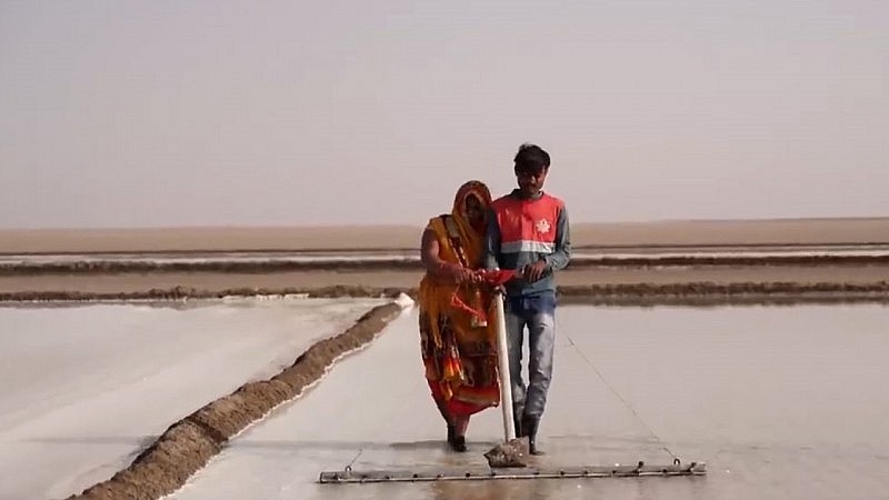 Sa mạc muối Little Rann of Kutch, Ấn Độ