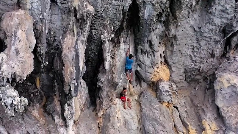 Gia đình anh Alvin Villarendo đang khai thác tổ yến ở đảo Nabat, Philippines