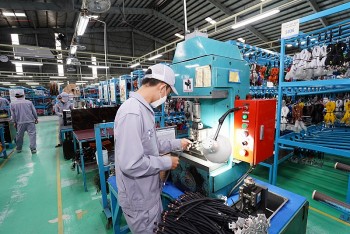 Tháo gỡ khó khăn cho doanh nghiệp: Phải tiếp tục cải cách thể chế