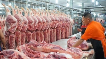 Nhiều tiềm năng xuất khẩu sản phẩm chăn nuôi