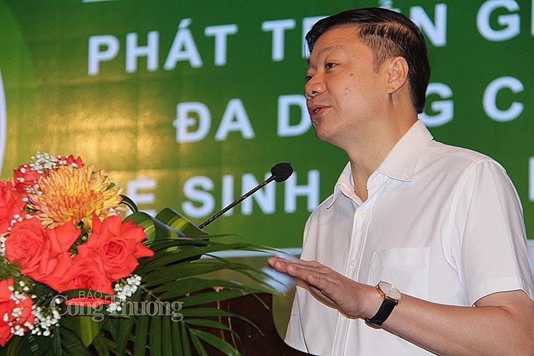 Trần Quang Bảo Trần Quang Bảo