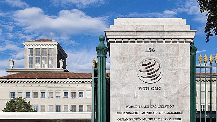 WTO nhất trí tăng cường rà soát chính sách thương mại chuẩn bị cho Hội nghị Bộ trưởng MC13 WTO nhất trí tăng cường rà soát chính sách thương mại chuẩn bị cho Hội nghị Bộ trưởng MC13