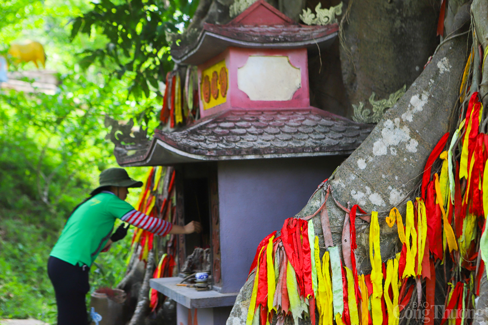 Cây mộc thần của người Raglai