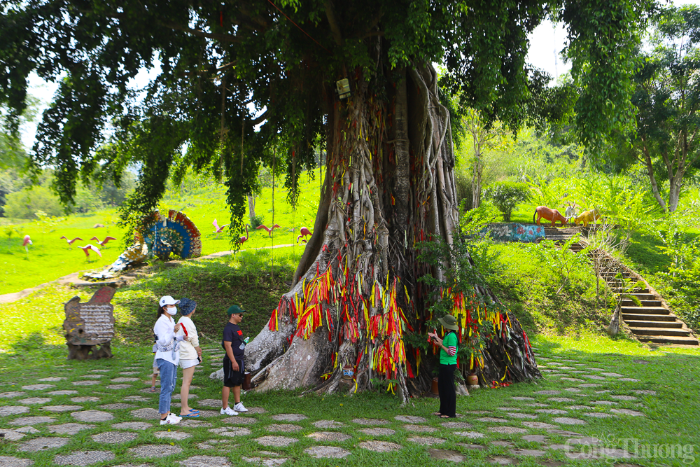 Cây mộc thần của người Raglai