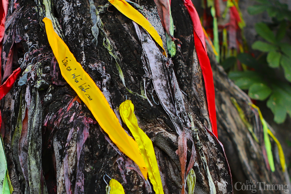 Cây mộc thần của người Raglai