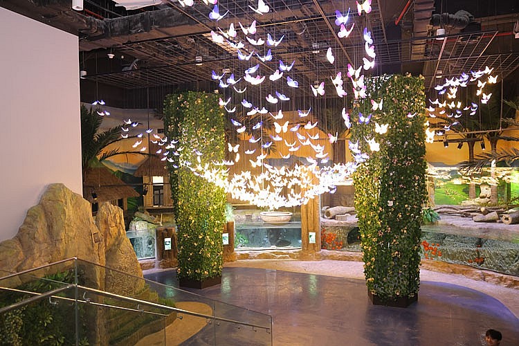 Gần 4.000 lượt khách tham quan ngày đầu khai trương thủy cung trong nhà lớn nhất Hà Nội Gần 4.000 lượt khách tham quan ngày đầu khai trương thủy cung trong nhà lớn nhất Hà Nội