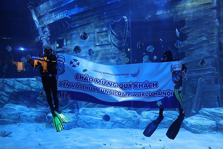 Gần 4.000 lượt khách tham quan ngày đầu khai trương thủy cung trong nhà lớn nhất Hà Nội Gần 4.000 lượt khách tham quan ngày đầu khai trương thủy cung trong nhà lớn nhất Hà Nội