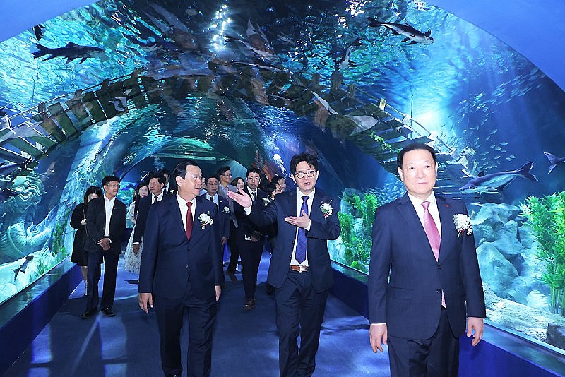 Gần 4.000 lượt khách tham quan ngày đầu khai trương thủy cung trong nhà lớn nhất Hà Nội Gần 4.000 lượt khách tham quan ngày đầu khai trương thủy cung trong nhà lớn nhất Hà Nội