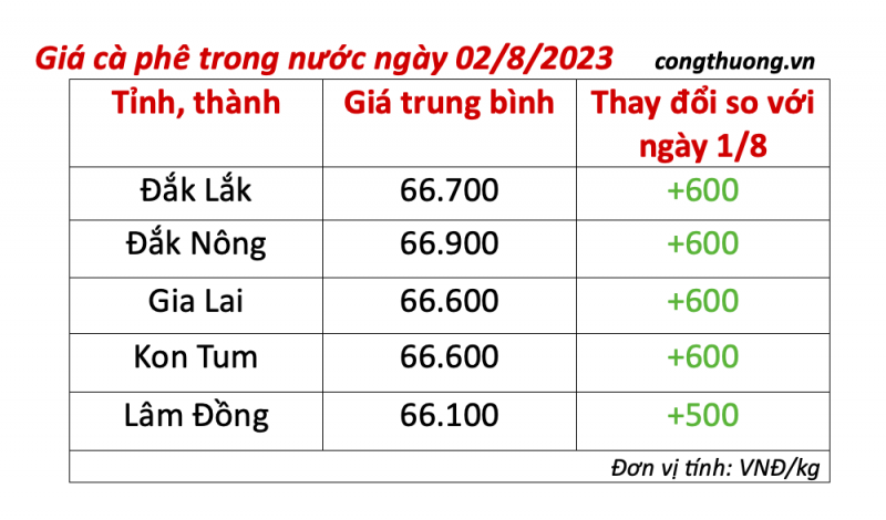 Giá cà phê hôm nay ngày 2/8/2023: Giá cà phê trong nước quay đầu tăng