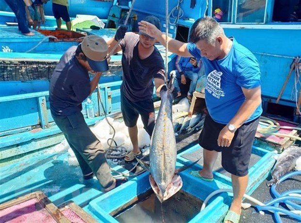 3 năm EVFTA: Các sản phẩm ngành nông nghiệp hưởng lợi lớn nhất hình ảnh 3 3 nam EVFTA: Cac san pham nganh nong nghiep huong loi lon nhat hinh anh 3