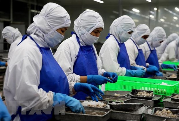 3 năm EVFTA: Các sản phẩm ngành nông nghiệp hưởng lợi lớn nhất hình ảnh 1 3 nam EVFTA: Cac san pham nganh nong nghiep huong loi lon nhat hinh anh 1