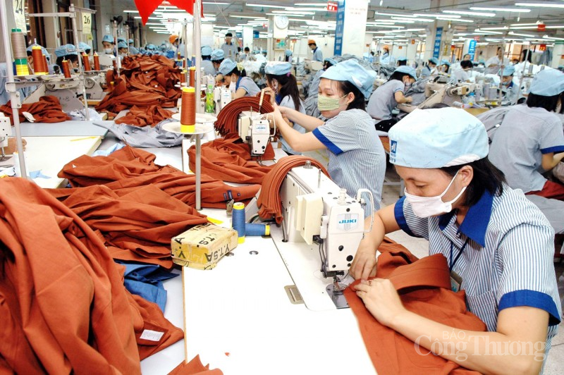 Dệt may Dệt may
