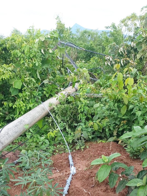 Tỉnh Quảng Trị: Cả xã mất điện vì kẻ trộm cắt dây néo làm đổ cột