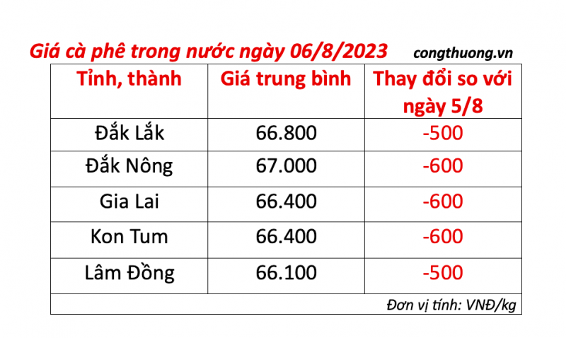 Giá cà phê hôm nay ngày 6/8/2023: Giá cà phê trong nước giảm 600 đồng/kg