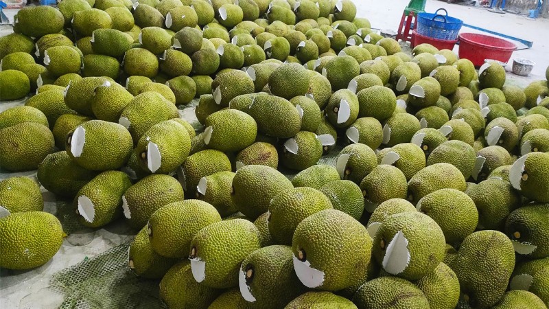 Mít Thái Mít Thái