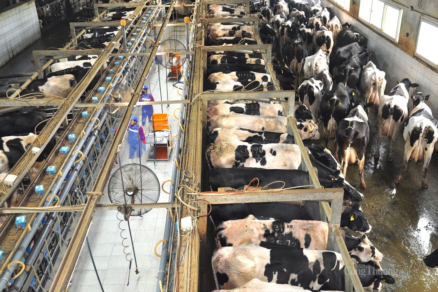 Đoàn công tác Báo Công Thương tham quan thực tế tại Tập đoàn TH