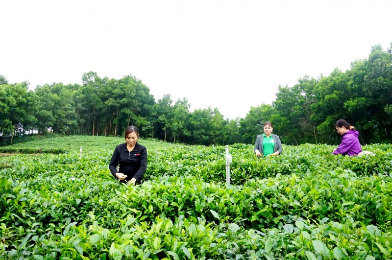 Huyện miền núi Võ Nhai (Thái Nguyên) chung tay xây dựng nông thôn mới Huyện miền núi Võ Nhai (Thái Nguyên) chung tay xây dựng nông thôn mới