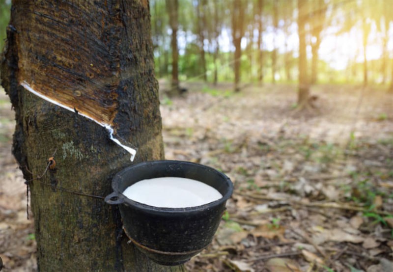 Thông báo nghỉ giao dịch một số mặt hàng tại Sở Giao dịch Hàng hóa Việt Nam ngày 04/08/2023 Thông báo nghỉ giao dịch một số mặt hàng tại Sở Giao dịch Hàng hóa Việt Nam ngày 04/08/2023